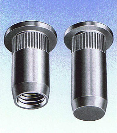 Rivkle | Rivkle Rivnuts | Blind Rivet Nuts | Bollhoff | Nutserts | Z305 ...